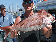 Sunshine Coast Fishing Charters - Tourism Search 2