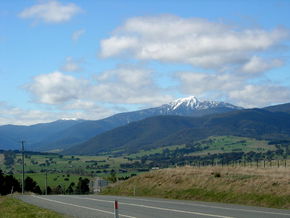 Buller View Wines - Tourism Search 2