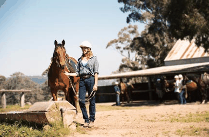 Watsons Trail Rides - Tourism Search