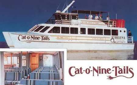 Cat O' NineTails - Tourism Search 1