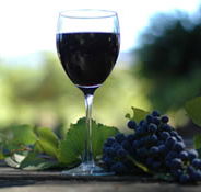 Lion Mill Vineyards - Tourism Search