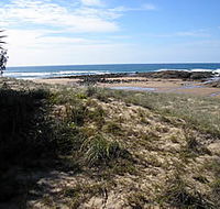 Deepwater National Park - Tourism Search