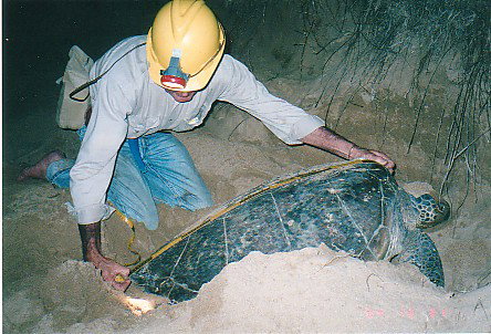 Footprints Adventures - Tourism Search 2