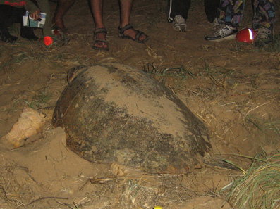 Footprints Adventures - Tourism Search 3