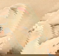 The Golden Door Spa  Health Club at Mirage Resort - Tourism Search