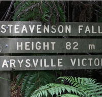 Stevensons Falls - Tourism Search