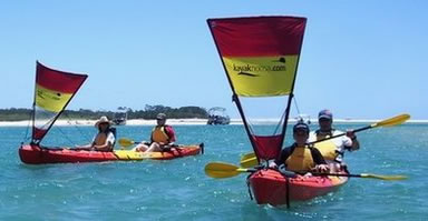 Kayak Noosa - Tourism Search 0