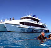 Silver Swift - Tourism Search