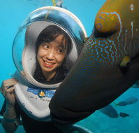 Sunlover Reef Cruises - Tourism Search