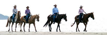 Ride The Beach - Tourism Search 0