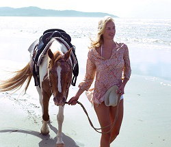 Ride The Beach - Tourism Search 3