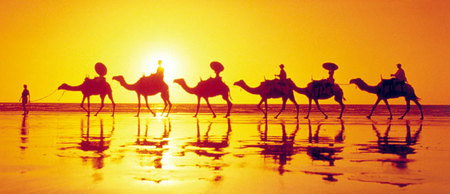 Banksia Adventures - Tourism Search 1