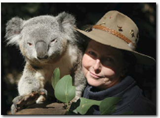 Koala Park Sanctuary - Tourism Search 2