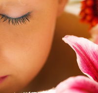 Temple Skincare - Tourism Search