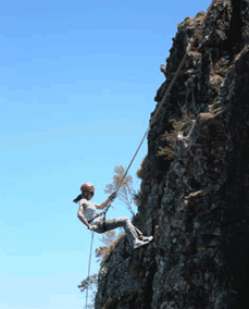 Adventures Around Brisbane - Tourism Search 1