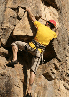 Adventures Around Brisbane - Tourism Search 3