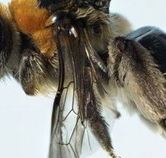 Western Australian Museum - Tourism Search