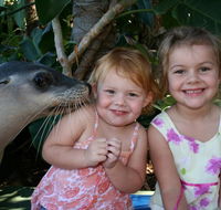 Dolphin Marine Magic - Tourism Search