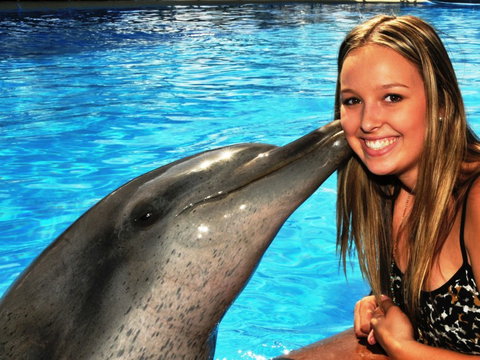 Dolphin Marine Magic - Tourism Search 3