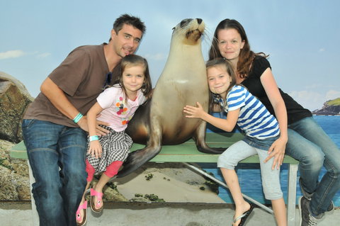 Dolphin Marine Magic - Tourism Search 6