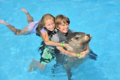 Dolphin Marine Magic - Tourism Search 9