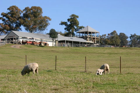 Calmsley Hill City Farm - Tourism Search 3