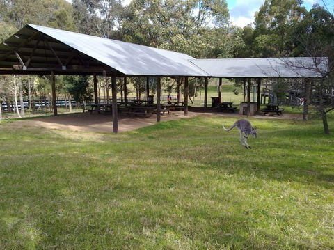 Calmsley Hill City Farm - Tourism Search 5