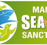 Manly SEA LIFE Sanctuary - Tourism Search
