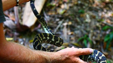 Queensland Day Tours - Tourism Search 1