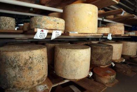 Witches Chase Cheese Co - Tourism Search 3