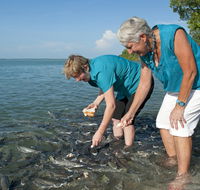 Aquascene Fish Feeding Sanctuary - Tourism Search