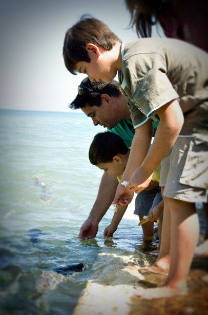 Aquascene Fish Feeding Sanctuary - Tourism Search 3