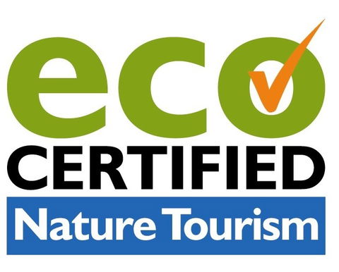Aquascene Fish Feeding Sanctuary - Tourism Search 4