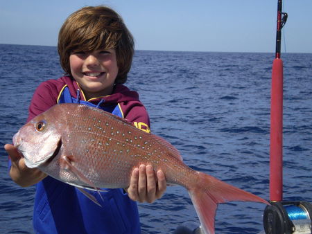 Mills Charters Fishing And Whale Watch Cruises - Tourism Search 4