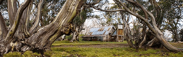 High Country Scenic Tours - Tourism Search