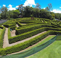 Bellingham Maze - Tourism Search