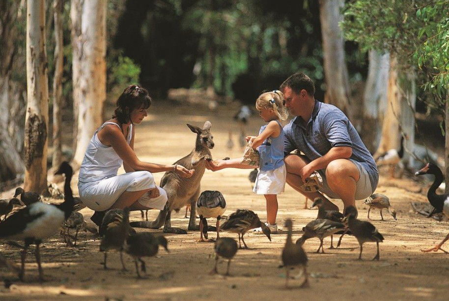 Townsville QLD Tourism Search