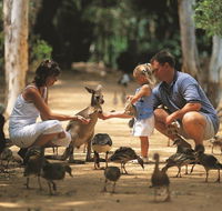 Billabong Sanctuary - Tourism Search