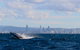 Australian Whale Watching - thumb 1