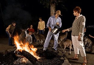 Cairns Night Zoo - Tourism Search