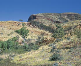 Mount Newman - Tourism Search 0