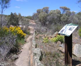 Christmas Rock Walk - Tourism Search 0