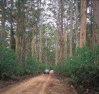 Boranup Drive - Tourism Search