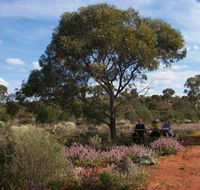 Karlkurla Bushland Park - Tourism Search