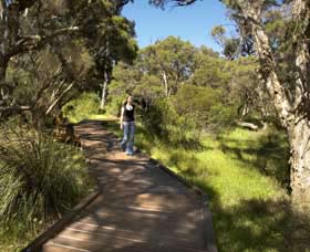 Leschenault Peninsula Conservation Park - Tourism Search 0