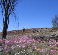 Talgomine Reserve - Tourism Search