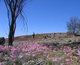 Talgomine Reserve - Tourism Search 0