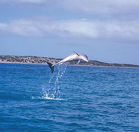 Steep Point - Tourism Search