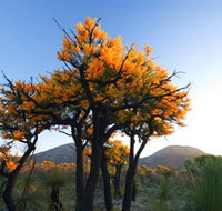 Cape Le Grand National Park - Tourism Search