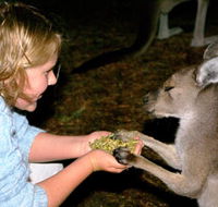 Discovery Bay's Walk on the Wild Side - Tourism Search